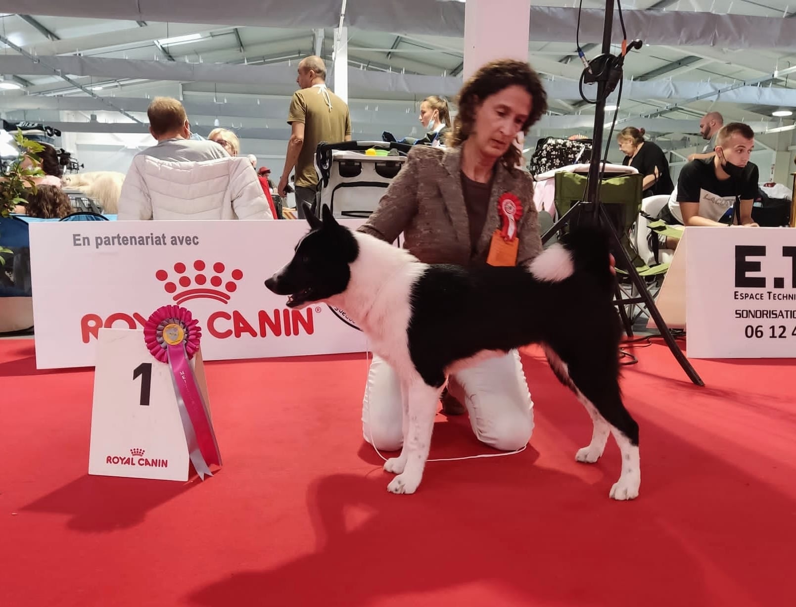 International dog show Beziers (France)
