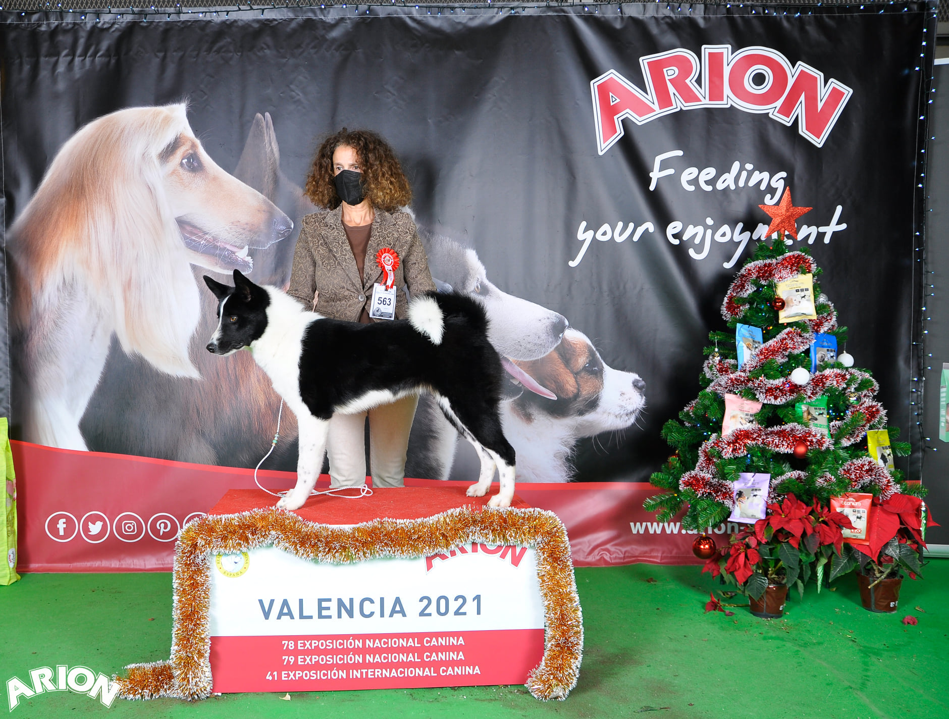 International dog show Valencia