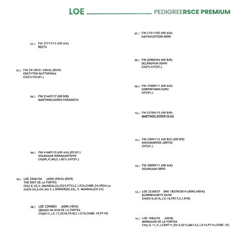 EXPORT PEDIGREE VNEXPECTED_page-0001